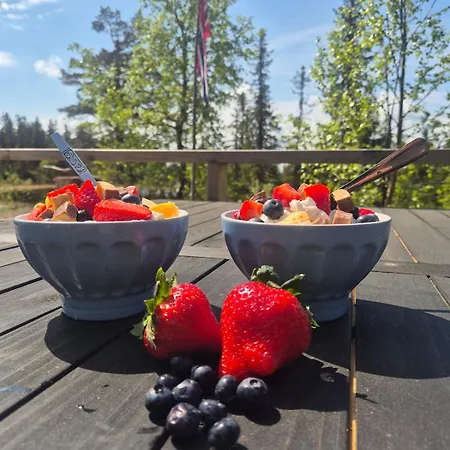 With Large Terrace Nyhus