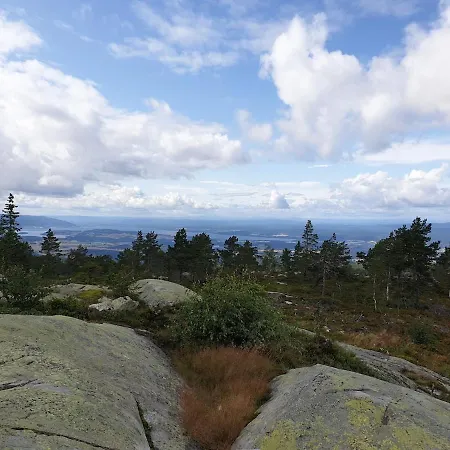 With Large Terrace Nyhus